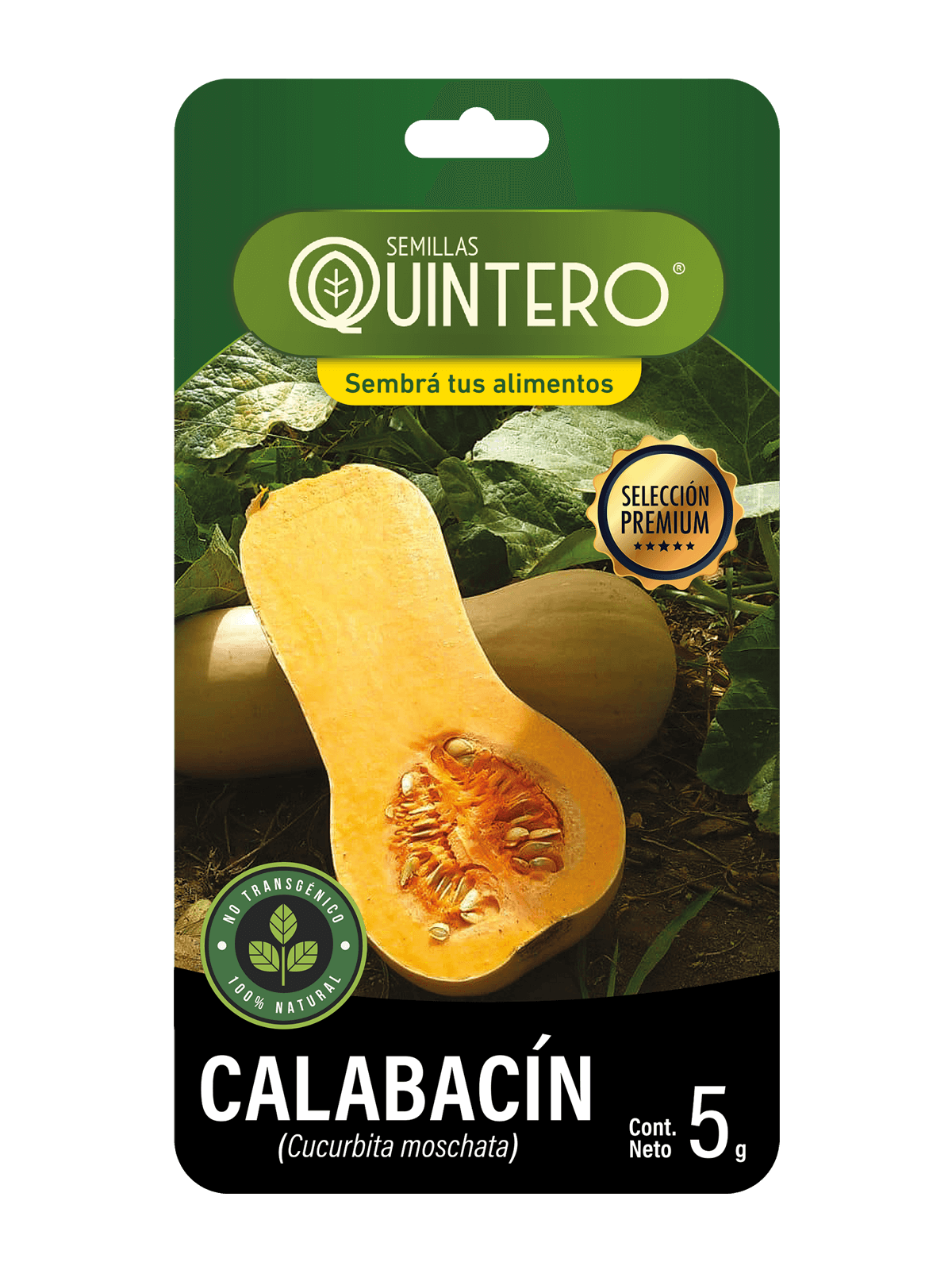 Calabacin (2)